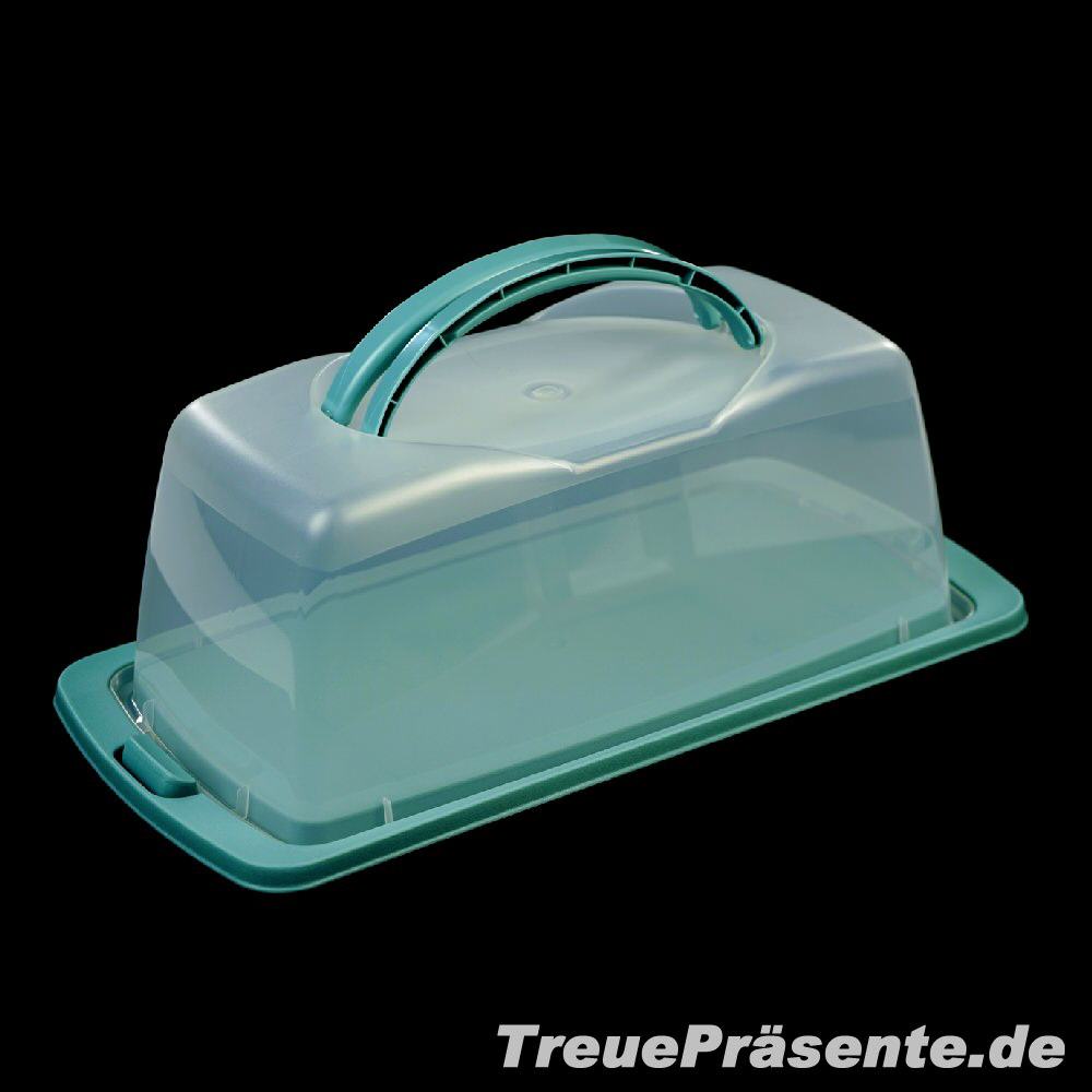 Eckiger Kuchenbehälter grün