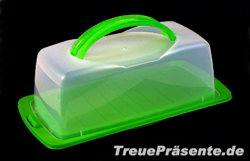 Kunststoff Kuchenform Kasten
