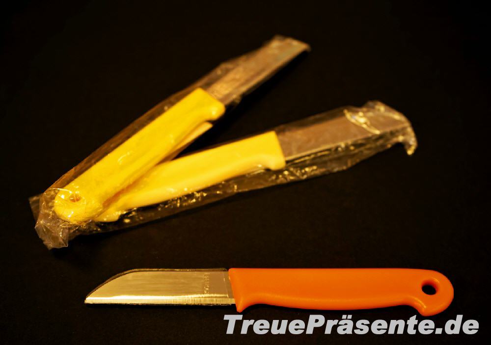 TreuePräsent Küchenmesser