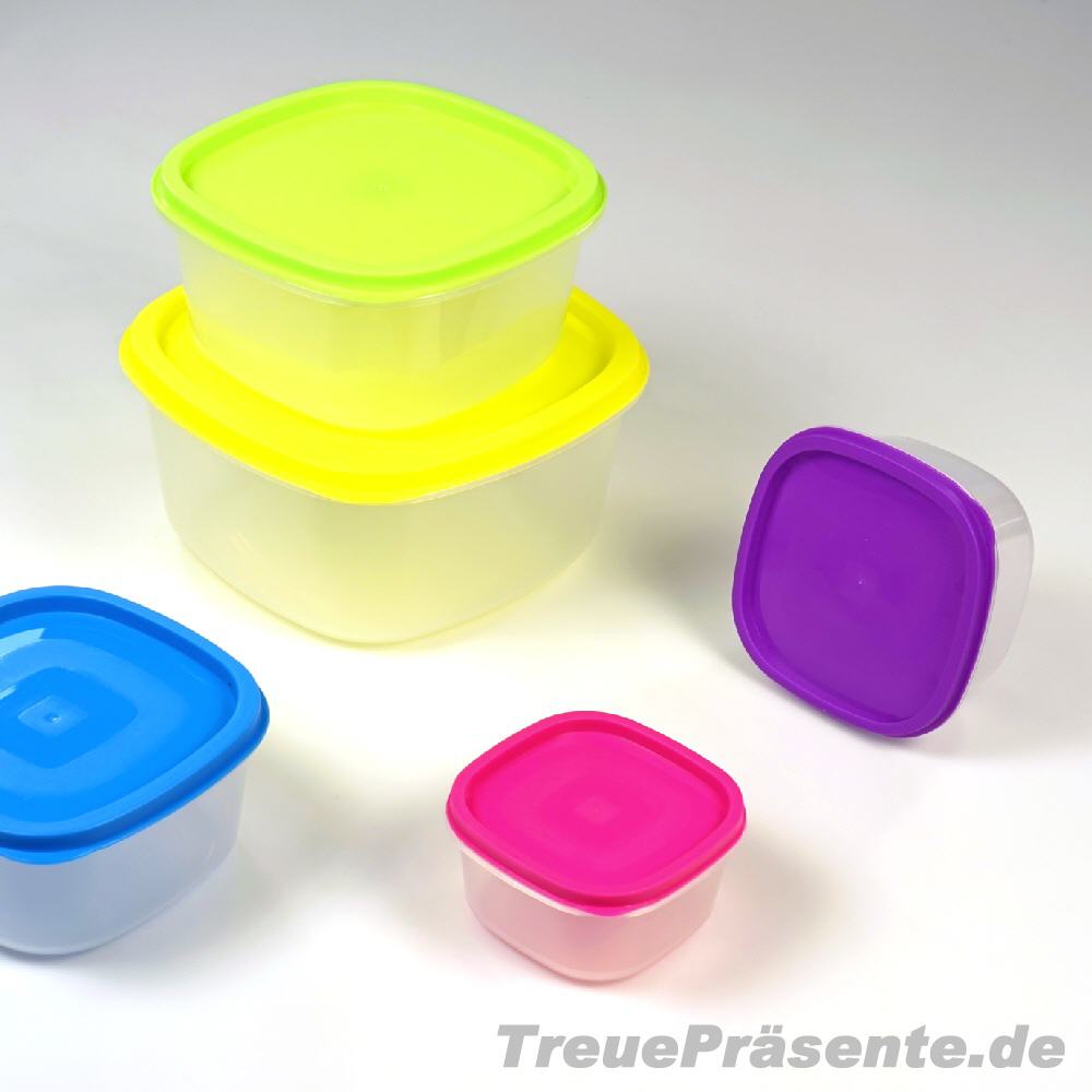 Vorratsdosen-Set 10-teilig