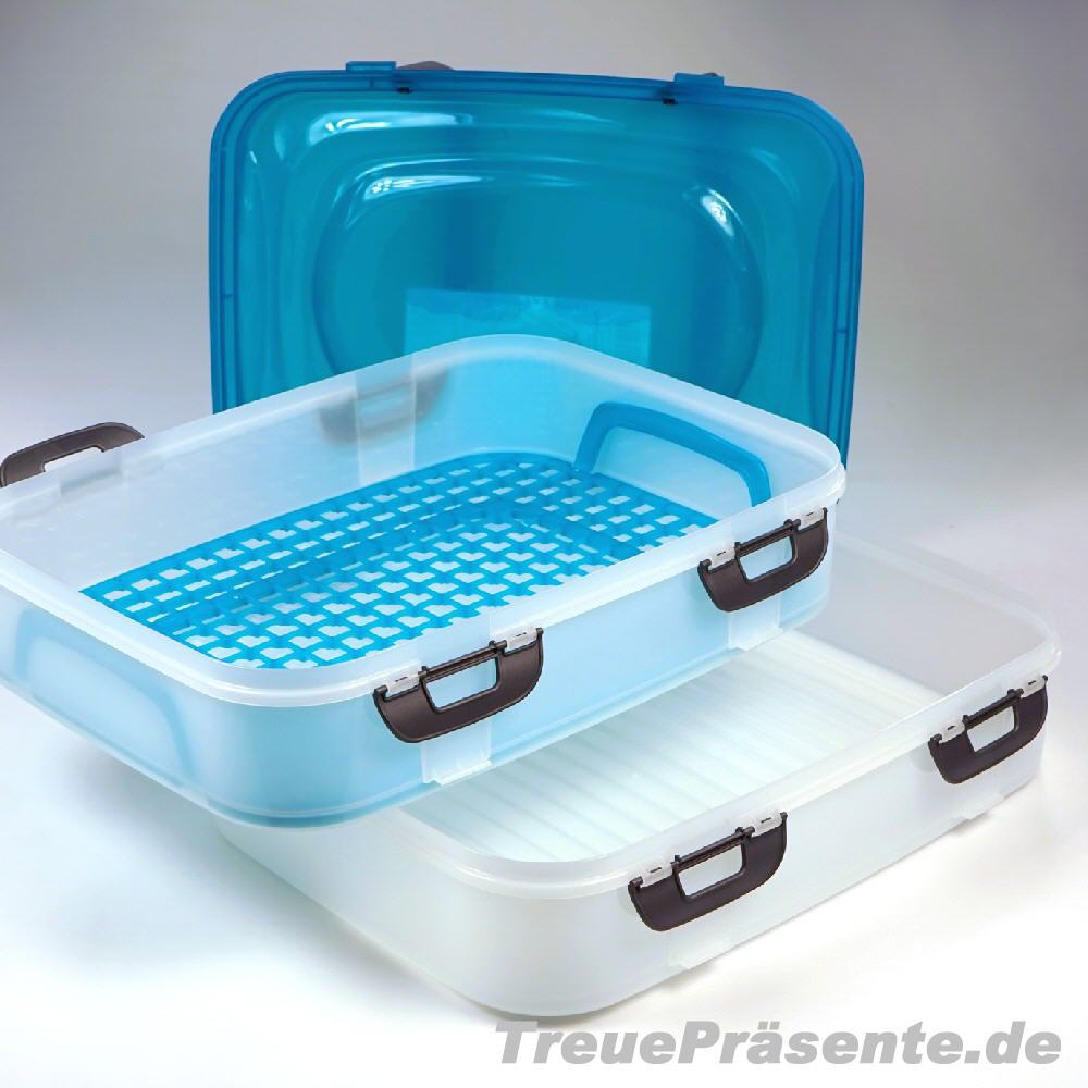 Partycontainer aus Kunststoff