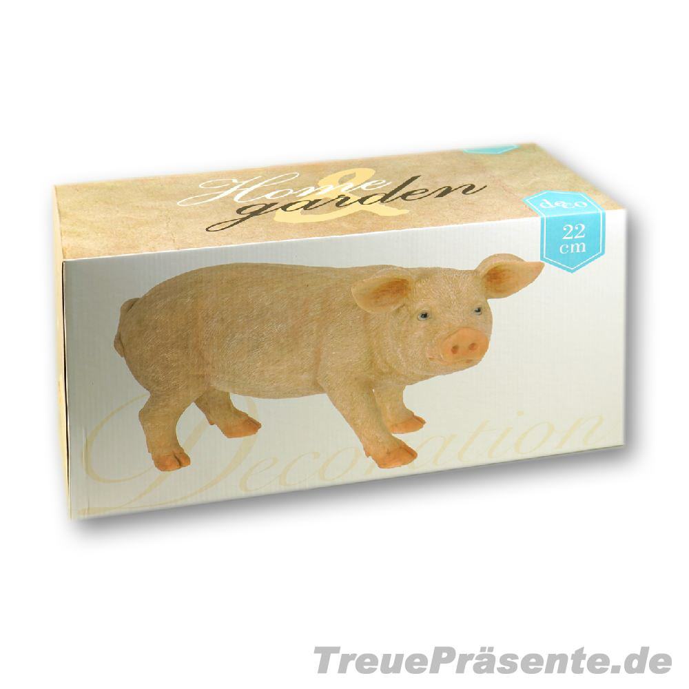 TreuePräsent Deko-Schweine 2er-Set