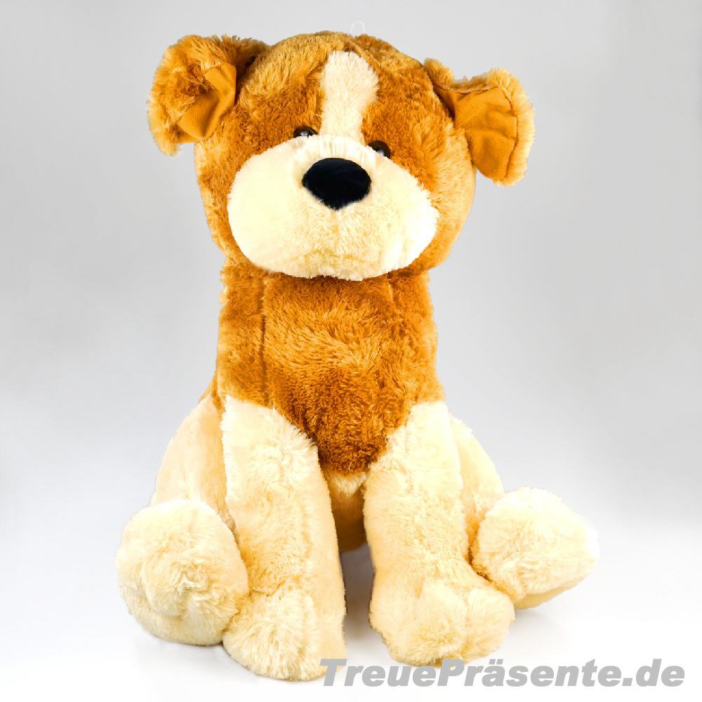 Pläsch-Hund sitzend
