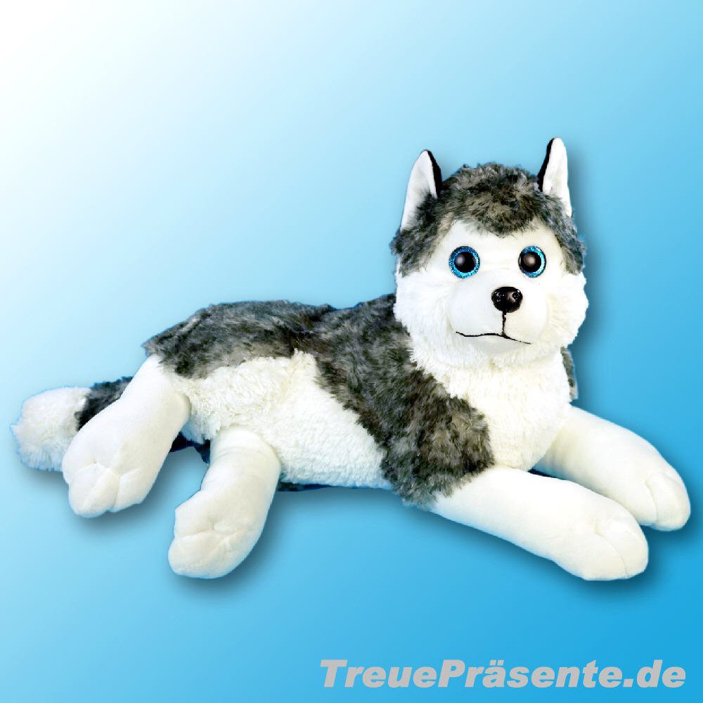 Plüsch-Husky liegend