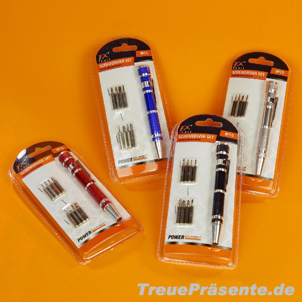 Schraubenzieher-Stift mit Aufsätzen