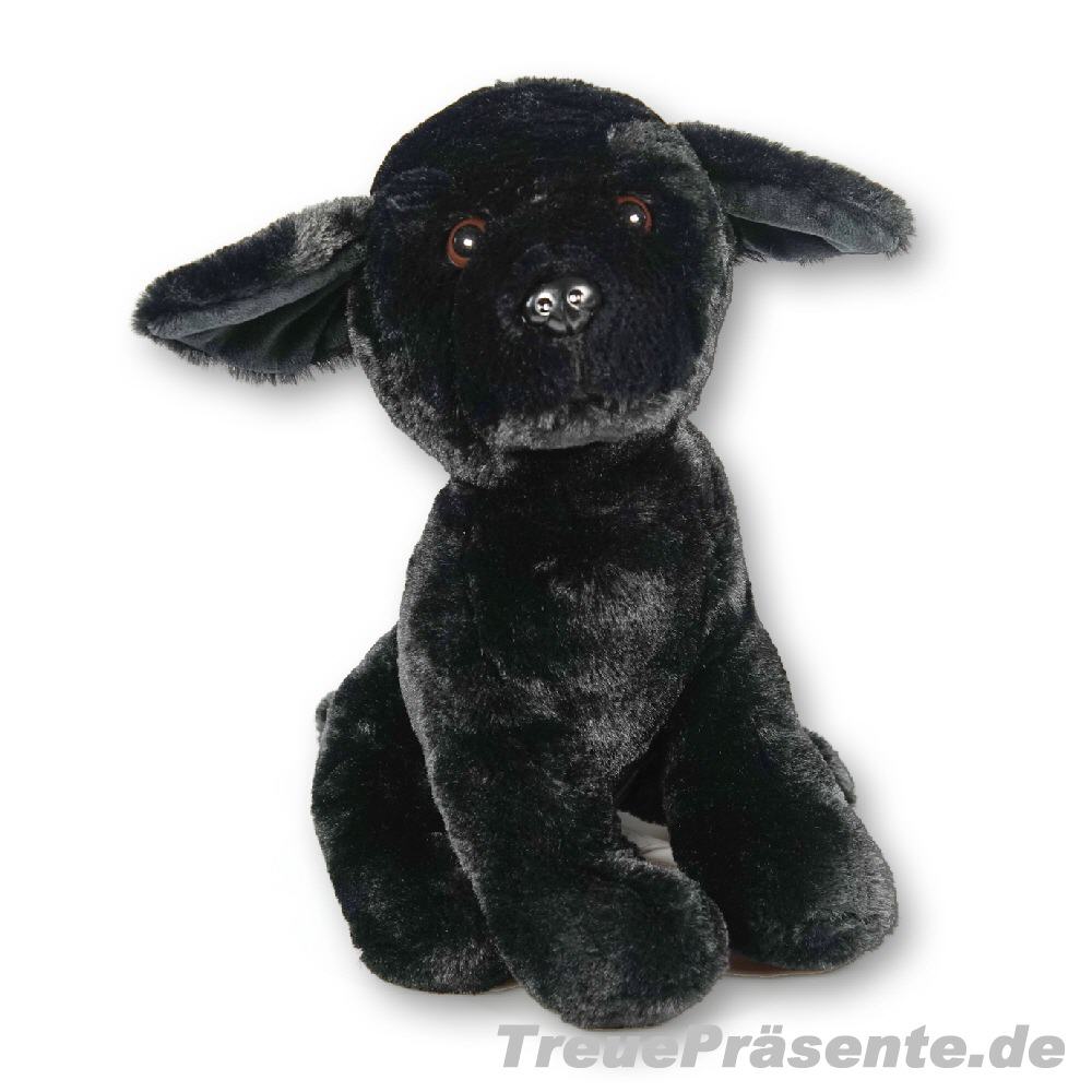 Plüsch-Hund schwarz
