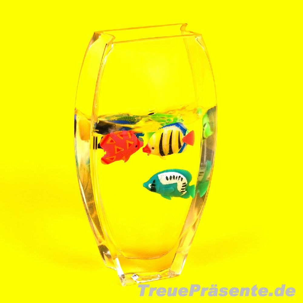 Mini-Schwimm-Fische