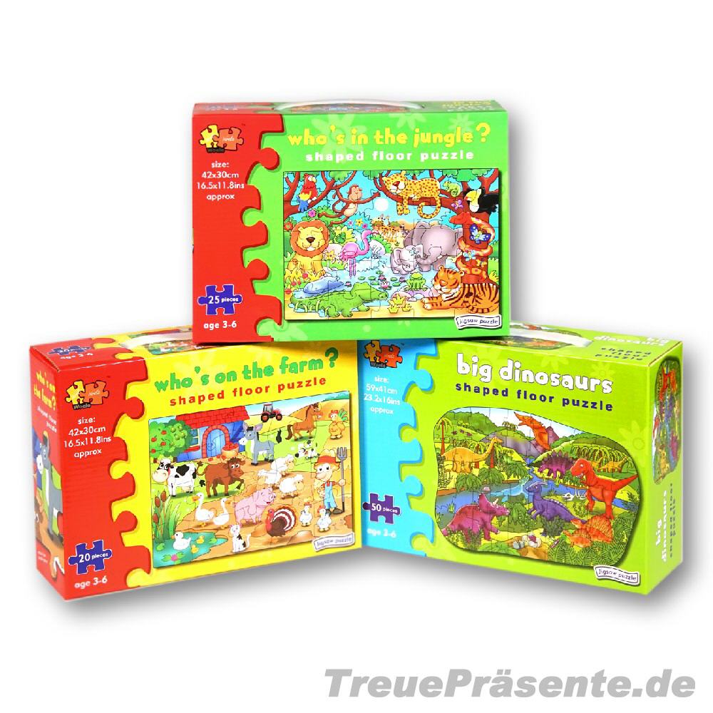 Puzzle-Koffer