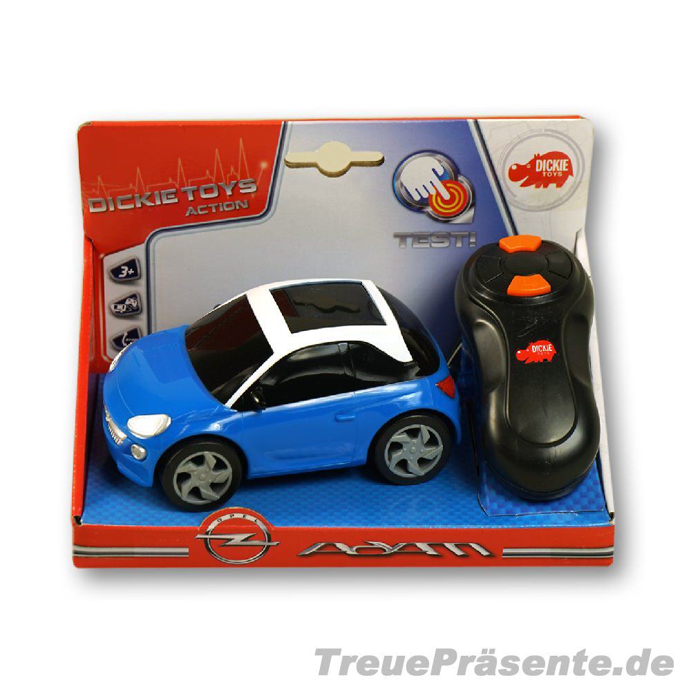 TreuePräsent Action Car