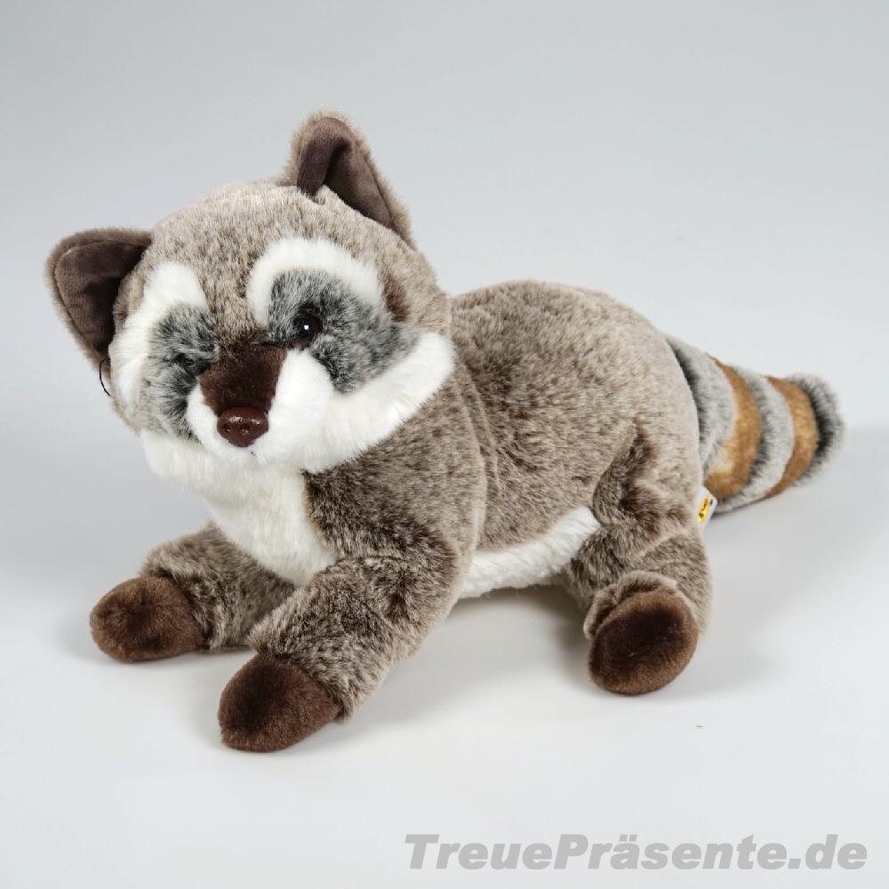 Plüsch-Waschbär 35 cm