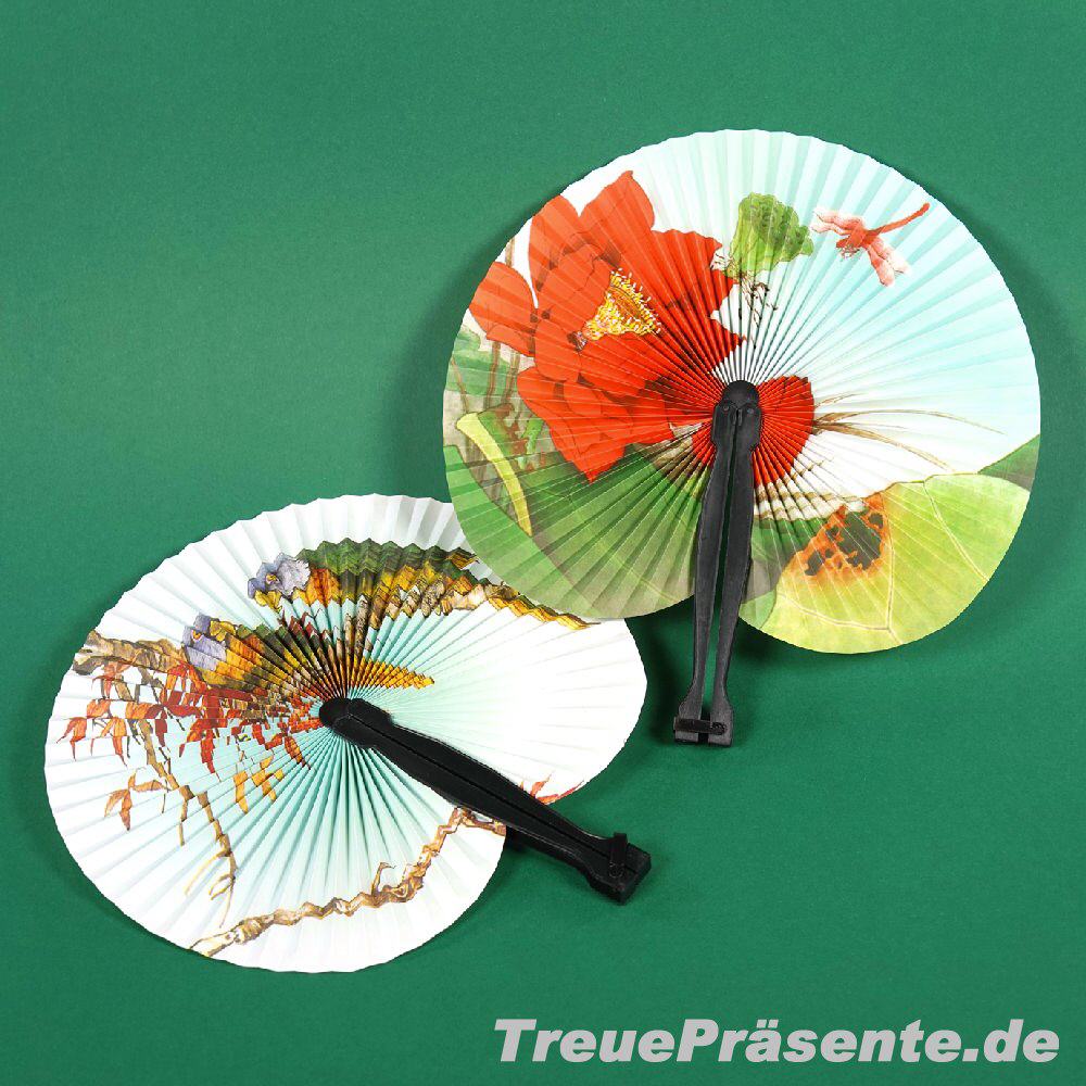 Fächer 25 cm sortiert