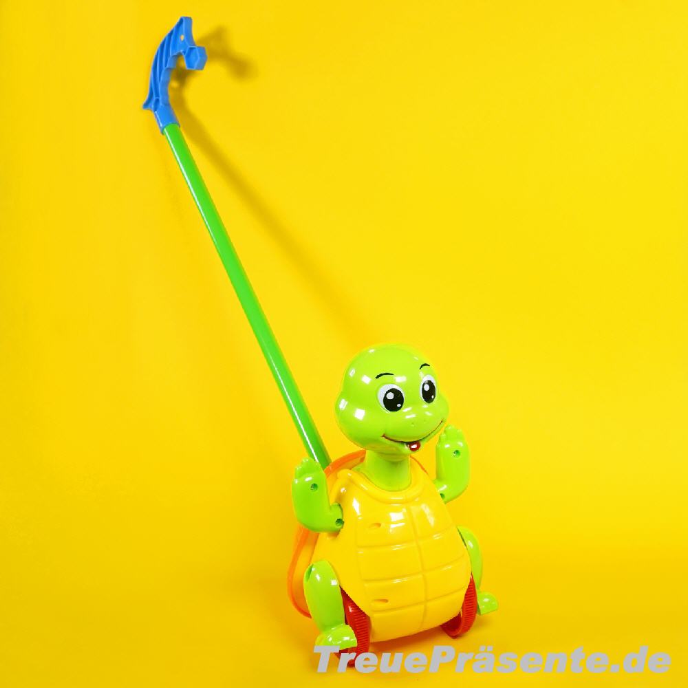 Schiebe-Schildkröte 25 cm