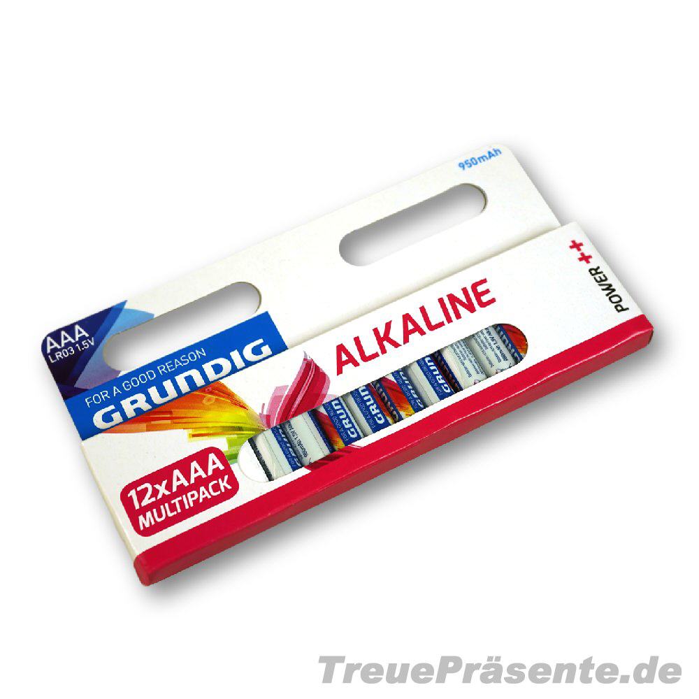 TreuePräsent Batterien 12 x AAA