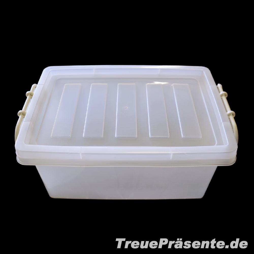 TreuePräsent Aufbewahrungsbox