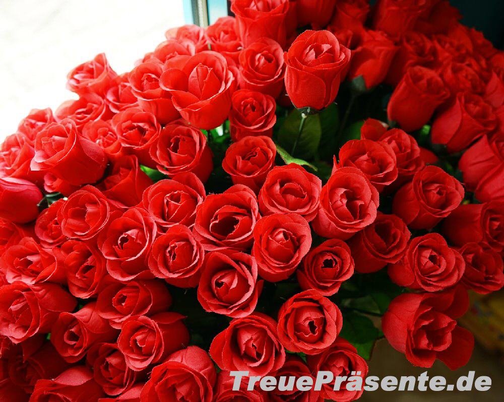 TreuePräsent Baccara-Seidenrose rot 65 cm