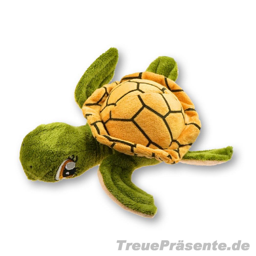 Baby-Schildkröte aus Plüsch