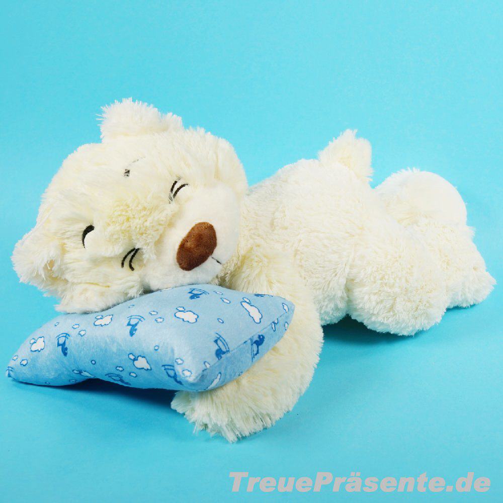 Plüsch-Bär schlafend