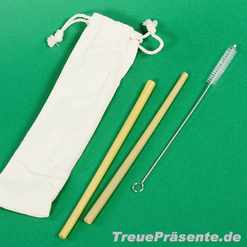 Bambus-Trinkhalme 2er-Set mit Bürste