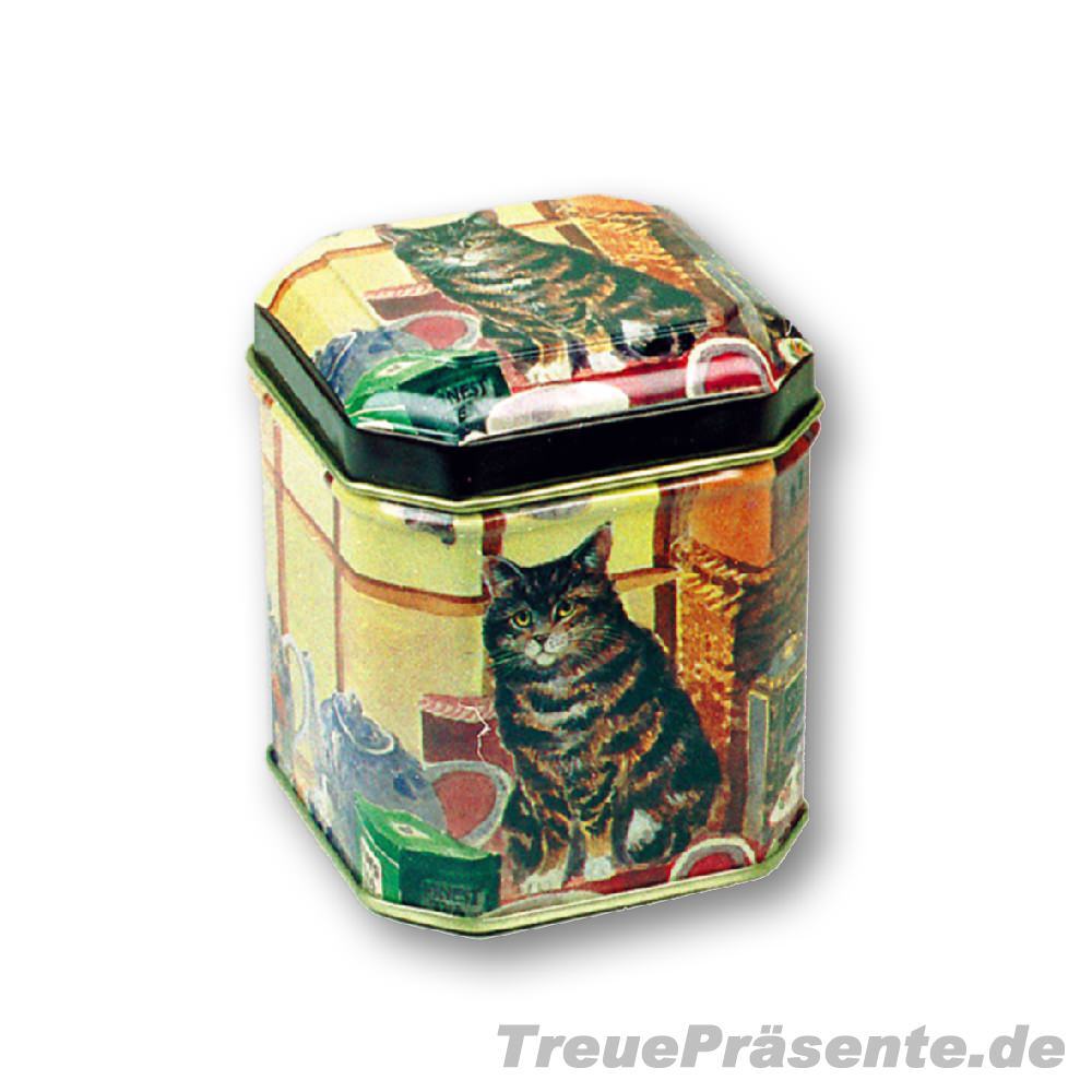 Teedose Casimir