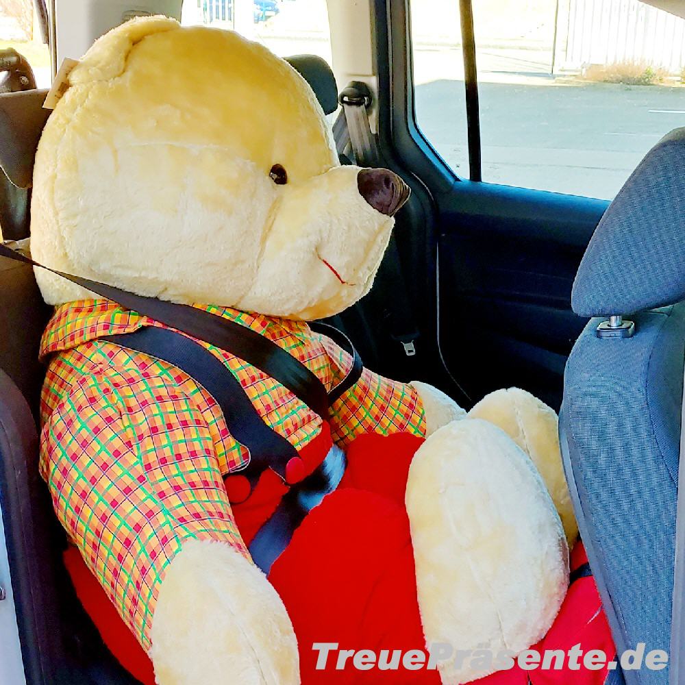 Hausmesse 2020 - Mega-Plüschbär