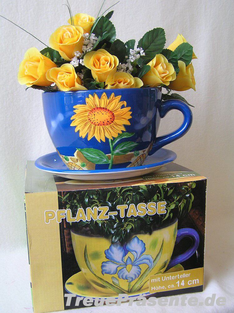 Pflanztasse